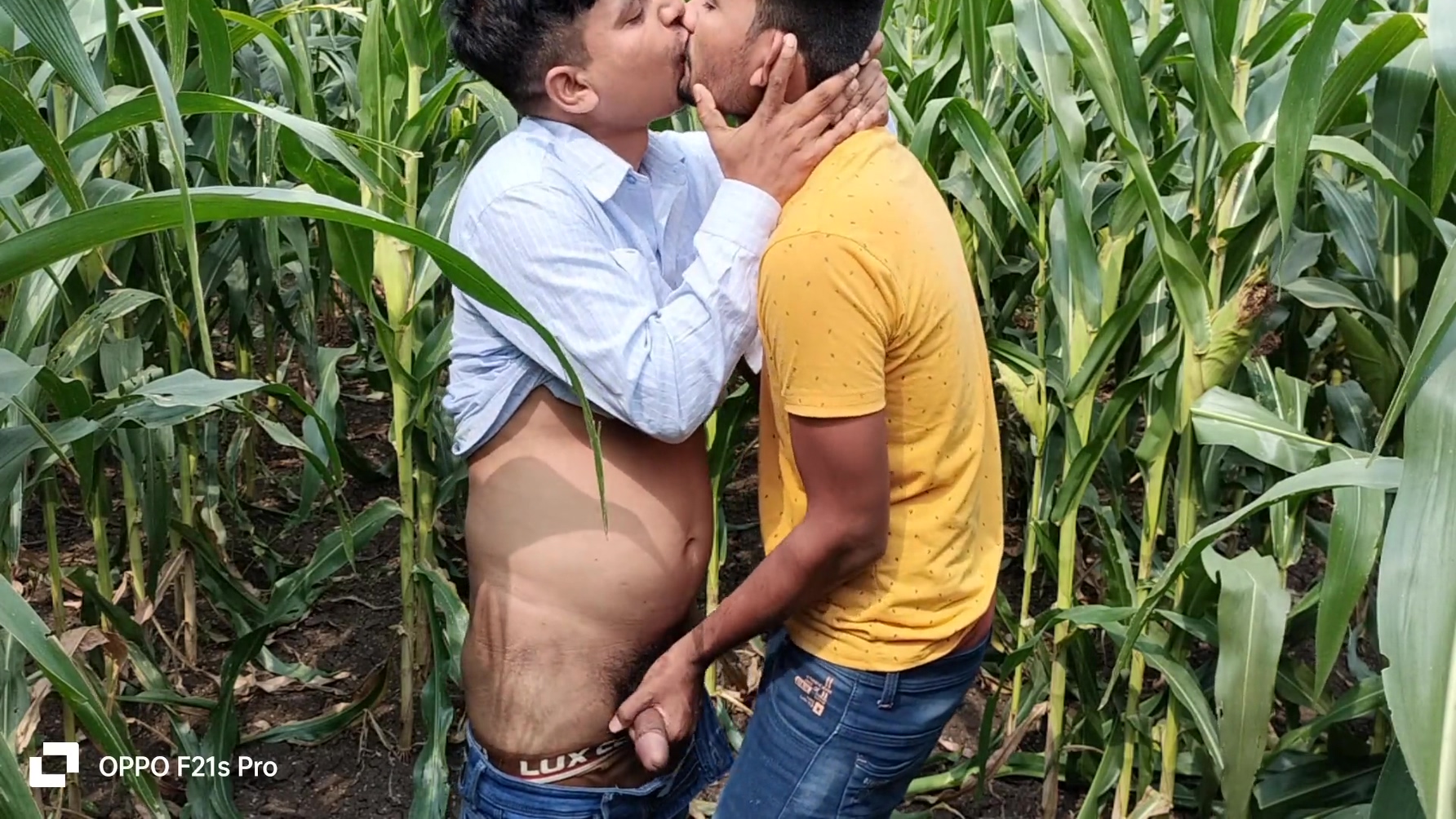 Indian Gay – Today Collage Boy & College Teacher I Saw A Corn Field Side Of The Forest So I Enjoyed Going To The Corn Field