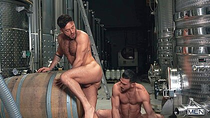 Chardogay Paddy Obrian: Manuel Reyes
