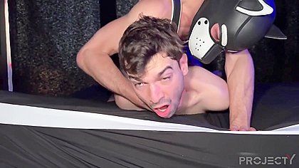 Gay Alpha Vs Straight Sub